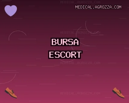 Bursa Escort: Harmancık Escort, Karacabey Escort, Mudanya Escort