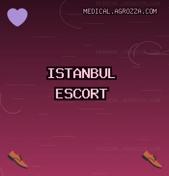 İstanbul Escort: Kartal Escort, Sarıyer Escort, Şişli Escort